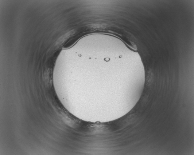 X0000076400428200611031727