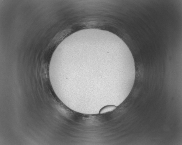 X0000076400430200611031726