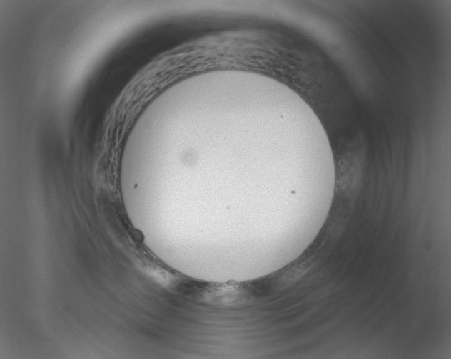 X0000076400431200611031726