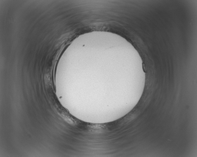 X0000076400432200611031726