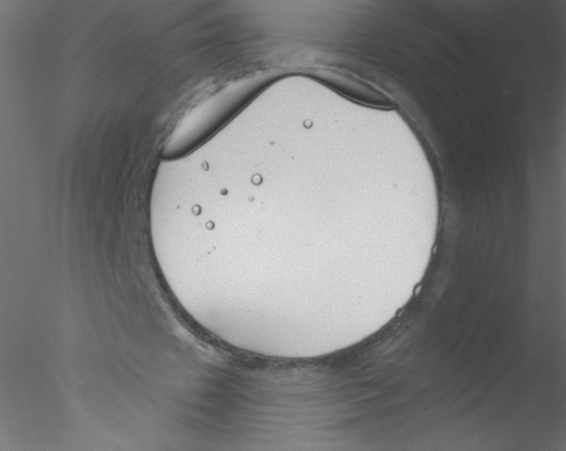 X0000076400433200611031726