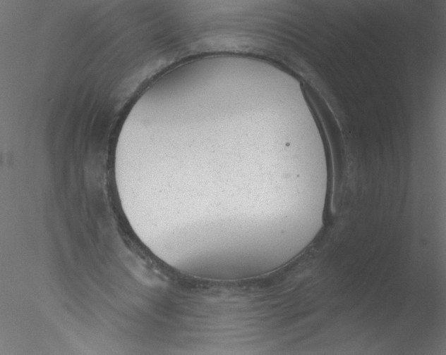 X0000076400434200611031726