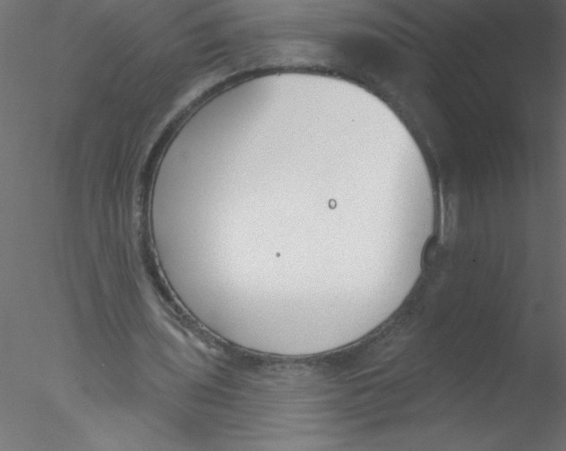 X0000076400435200611031726