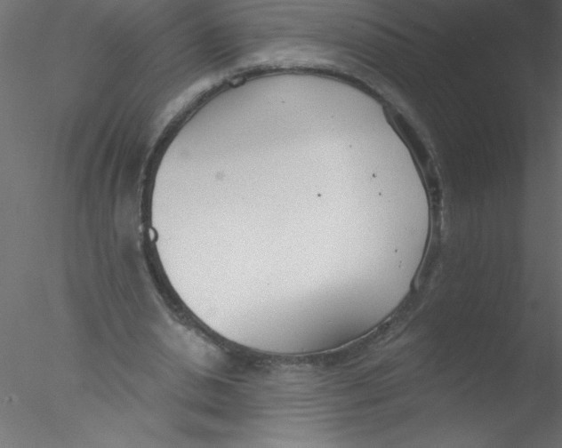 X0000076400438200611031726