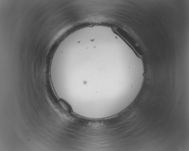 X0000076400440200611031726