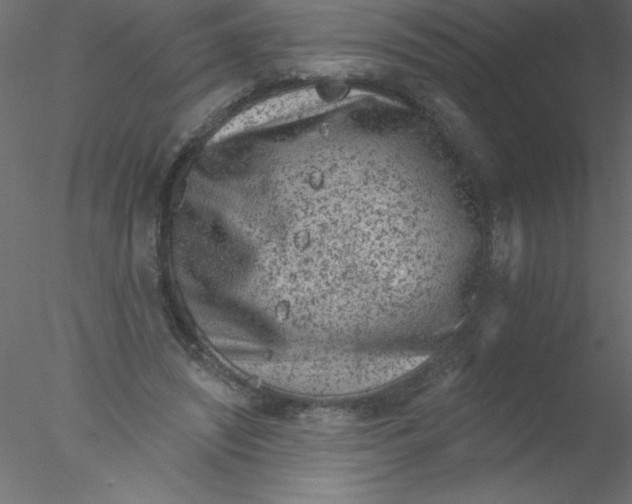 X0000076400444200611031726