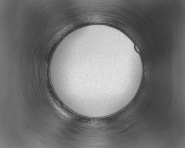 X0000076400445200611031726