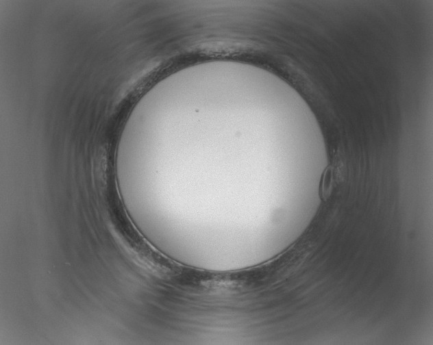 X0000076400448200611031726