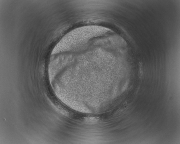 X0000076400451200611031726