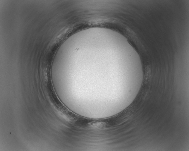 X0000076400452200611031726