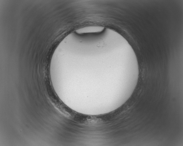 X0000076400455200611031726