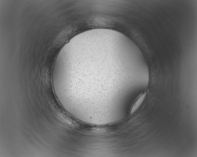 X0000076400457200611031726