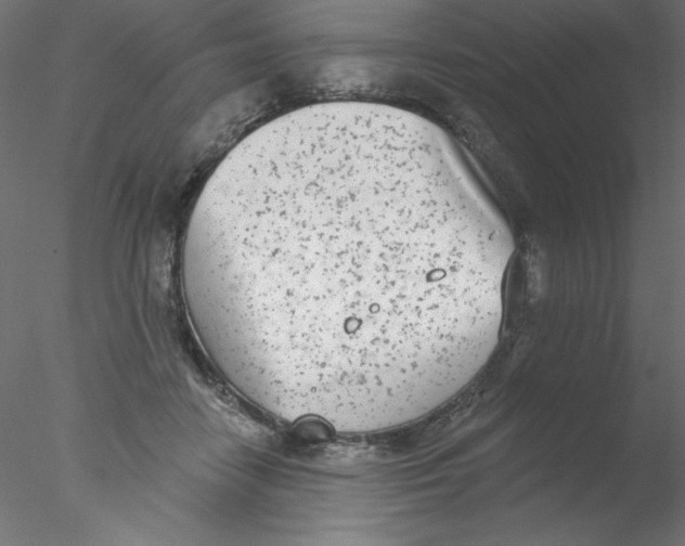 X0000076400458200611031726