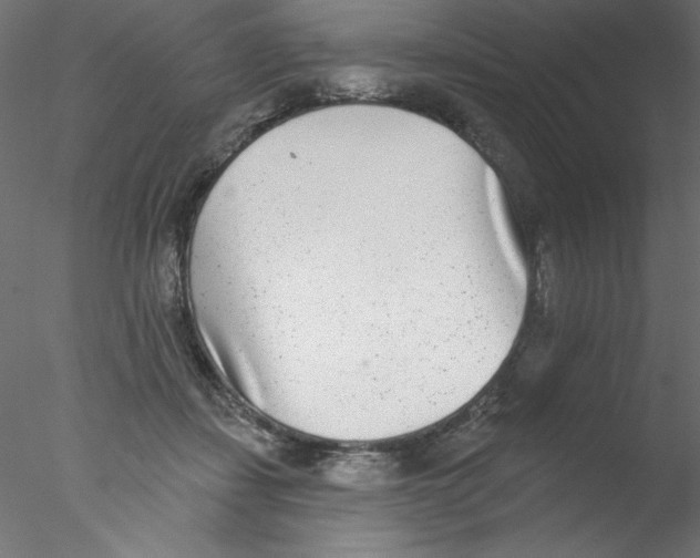 X0000076400459200611031726