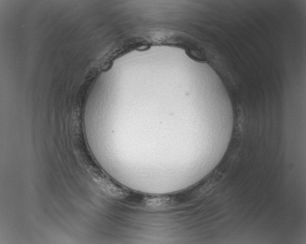 X0000076400461200611031726