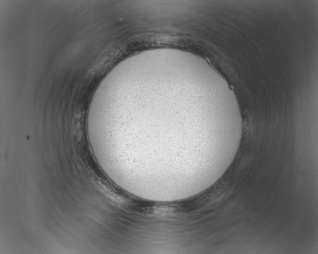 X0000076400462200611031726