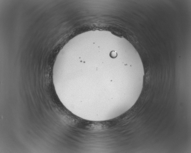 X0000076400464200611031726