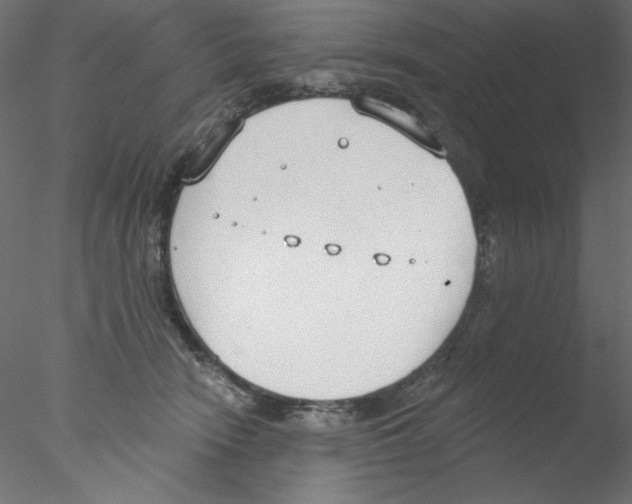 X0000076400466200611031726