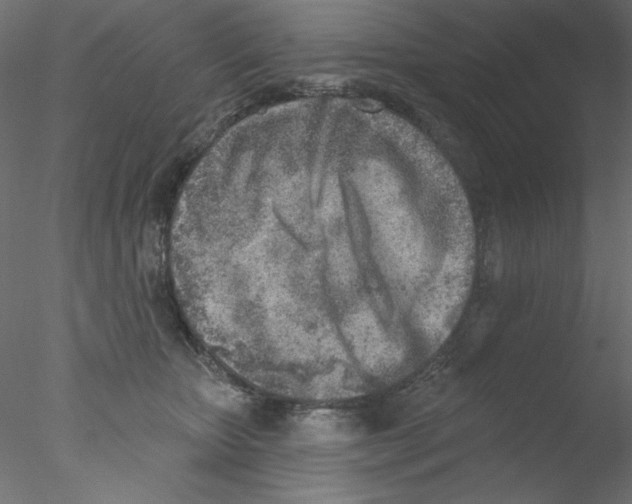 X0000076400467200611031726