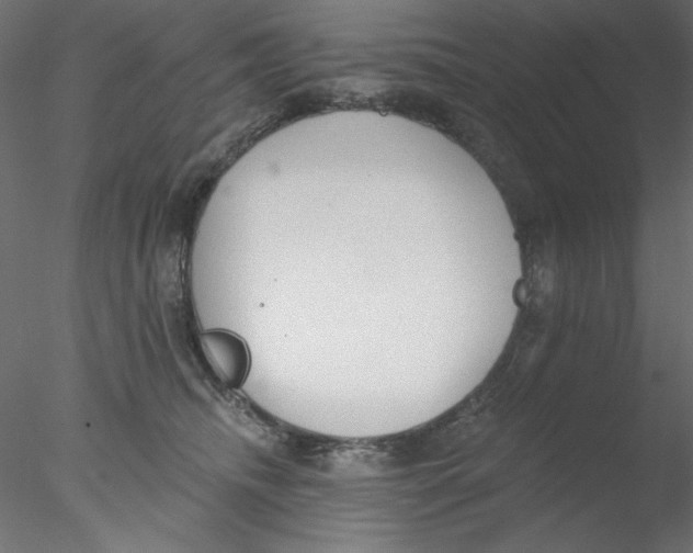 X0000076400468200611031726