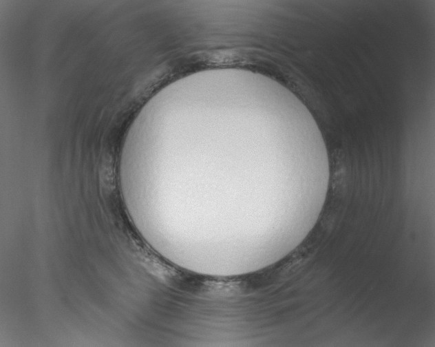 X0000076400469200611031726