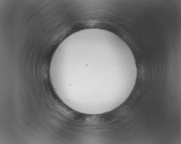 X0000076400470200611031726