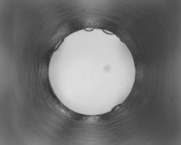 X0000076400474200611031726