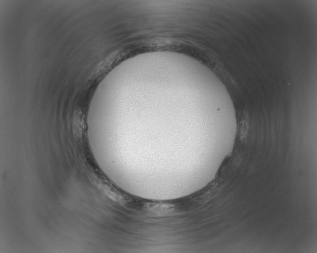 X0000076400476200611031726