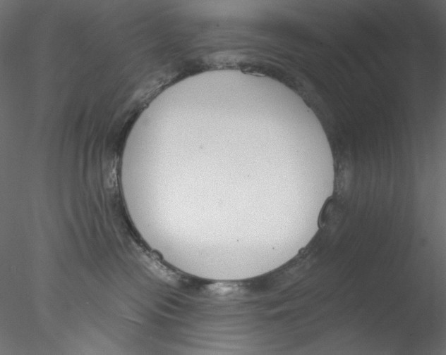 X0000076400477200611031726