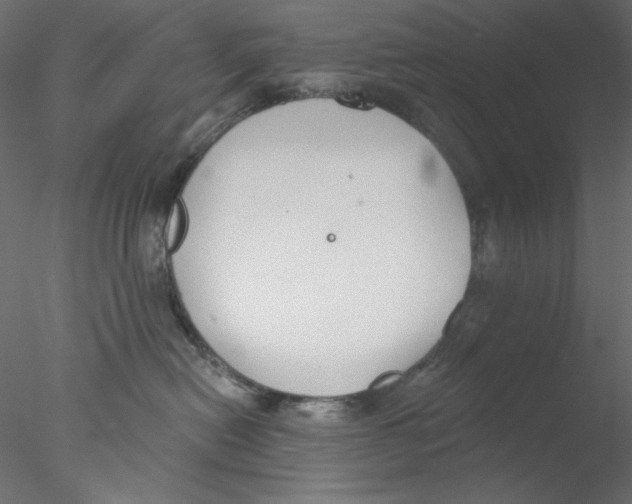 X0000076400478200611031726