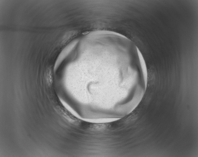 X0000076400479200611031726