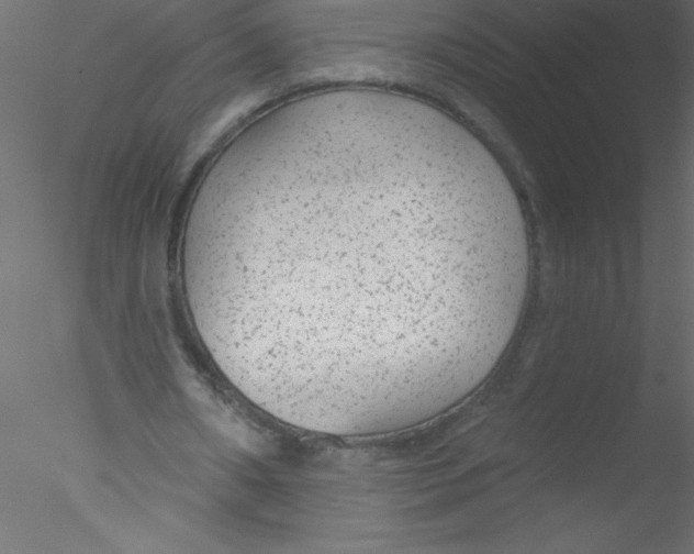 X0000076400482200611031726