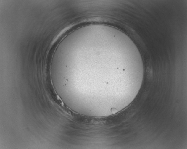 X0000076400484200611031726