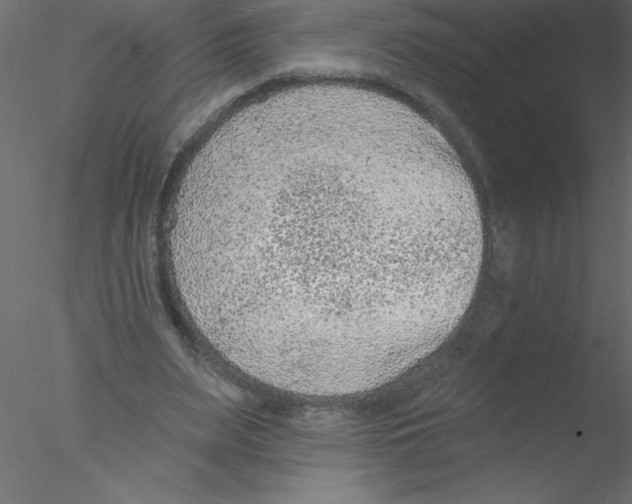 X0000076400487200611031726