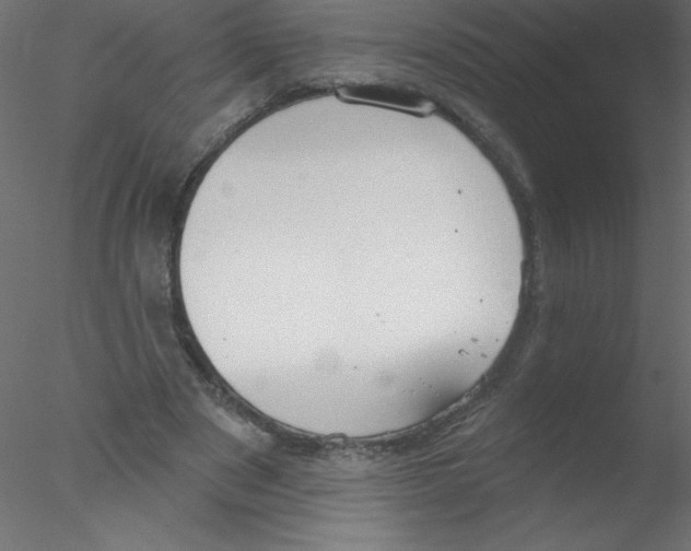 X0000076400489200611031725