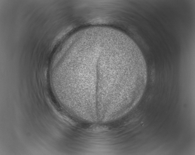 X0000076400491200611031725