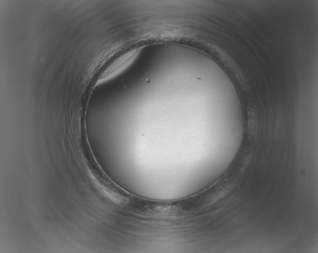 X0000076400493200611031725