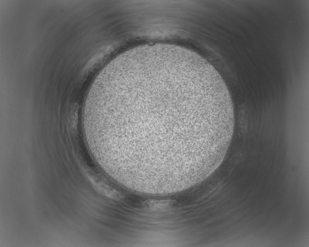 X0000076400495200611031725