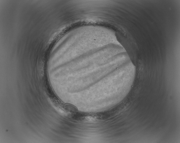 X0000076400496200611031725