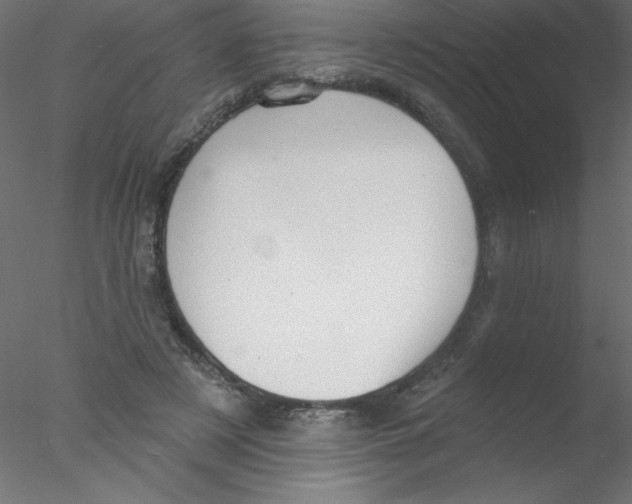 X0000076400497200611031725