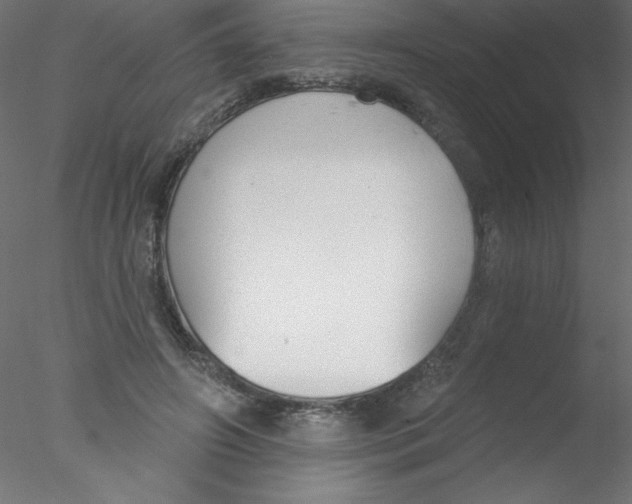 X0000076400498200611031725