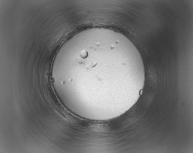 X0000076400499200611031725