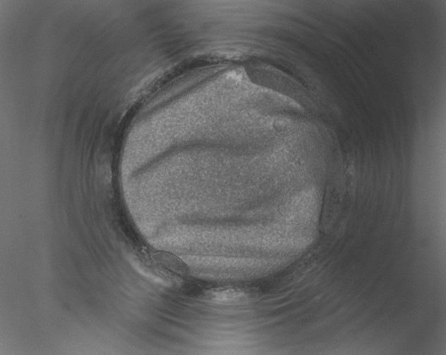 X0000076400500200611031725