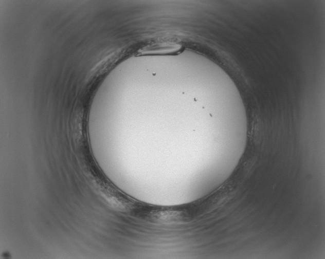 X0000076400501200611031725