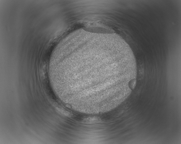 X0000076400503200611031725