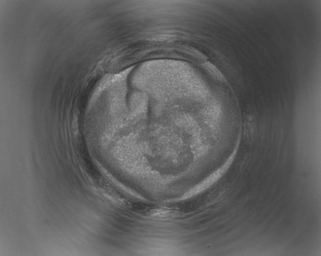 X0000076400504200611031725