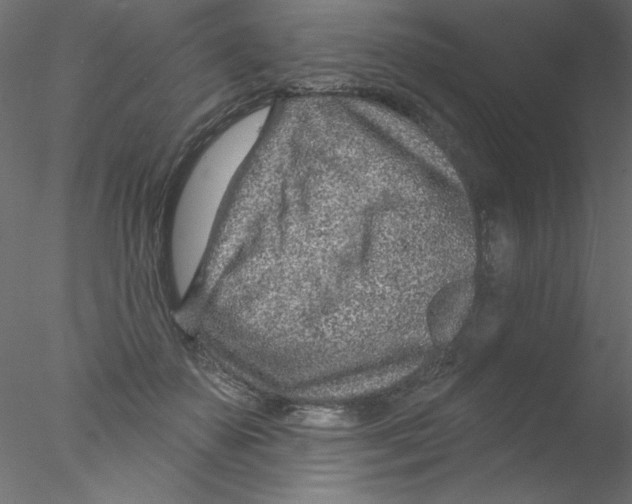 X0000076400507200611031725