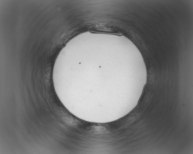 X0000076400509200611031725