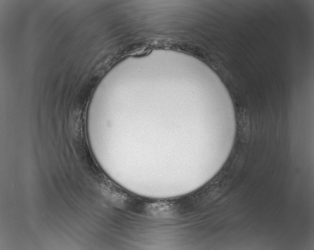 X0000076400511200611031725