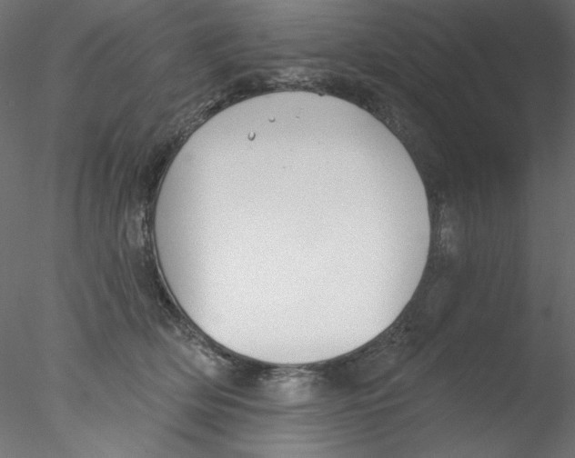 X0000076400514200611031725